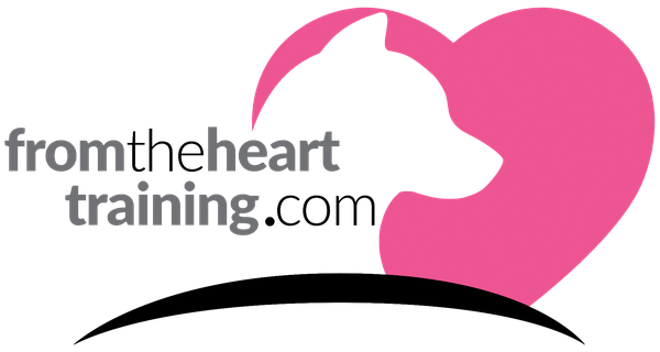 From The Heart Professional Trainer Mentorship