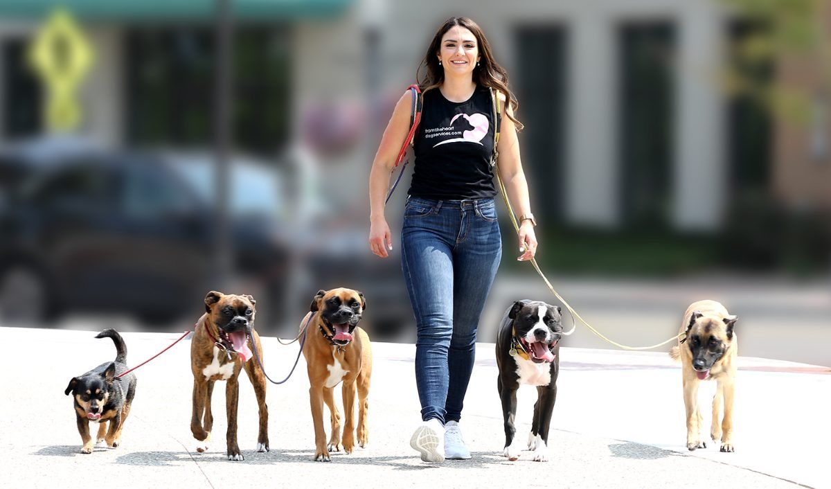 Victoria of From The Heart walking three dogs on leash down a sidewalk